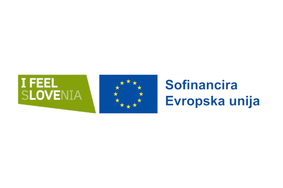 Vitko poslovanje malih in srednjih podjetij (MSP) 2 Logo ESS 600 900
